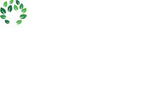 Licensed Child Care Network