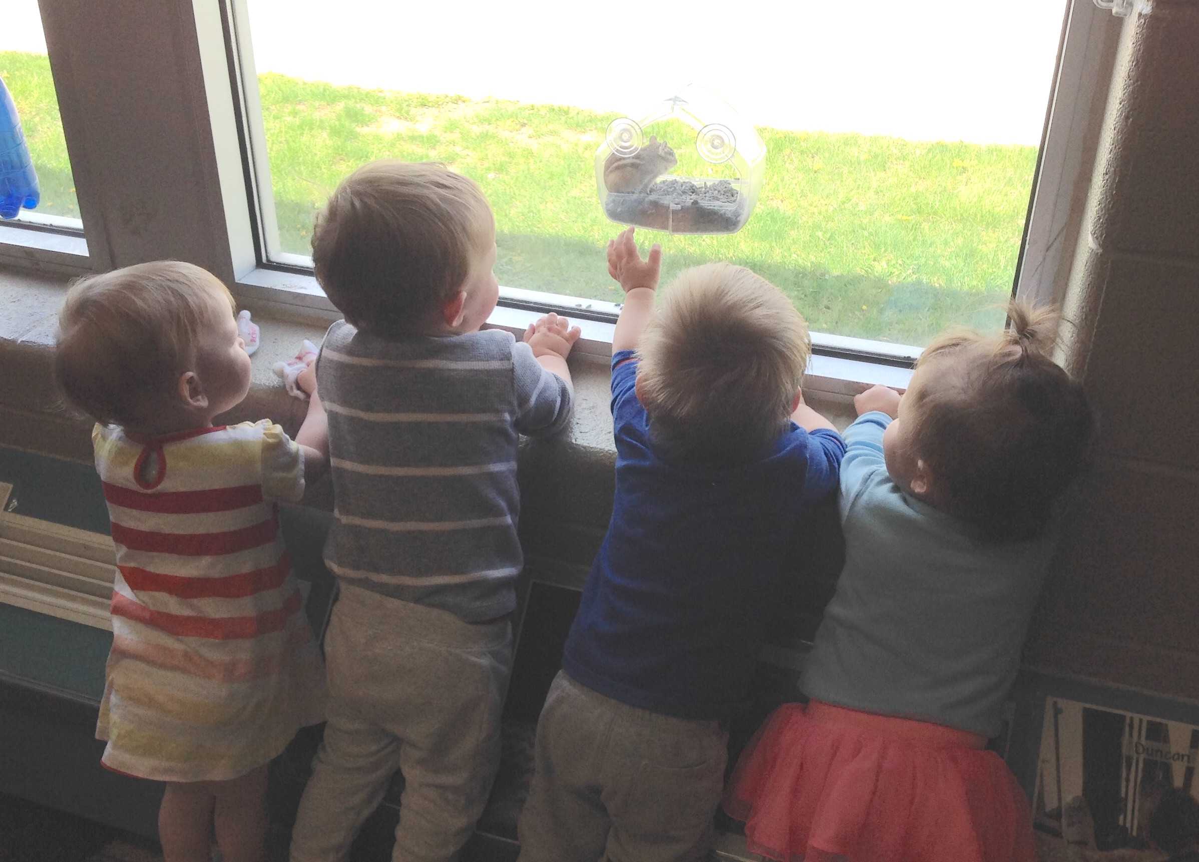 infants looking out of window at a chipmunk